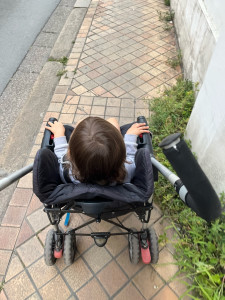 Photo de galerie - En chemin vers la crèche✨