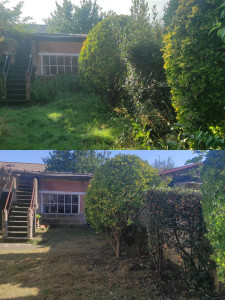 Photo de galerie - Nettoyage de jardin 