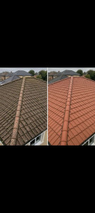 Photo de galerie - Nettoyage toiture,