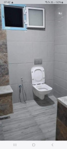Photo de galerie - Changement d'une cuvette en wc suspendu 