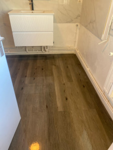 Photo de galerie - Remise en état sdb