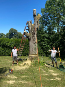 Photo de galerie - Artisan Élagueur