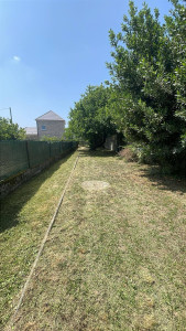 Photo de galerie - Tonte de pelouse - Débroussaillage