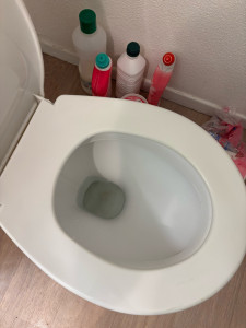 Photo de galerie - Nettoyage WC