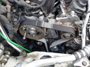 Photo de galerie - Distribution 