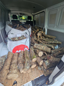 Photo de galerie - Débardage et livraison de bois