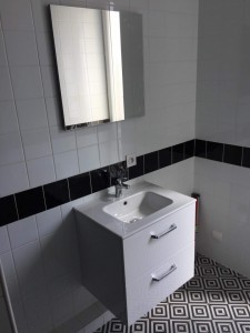 Photo de galerie - Installation d'un lavabo avec son meuble 