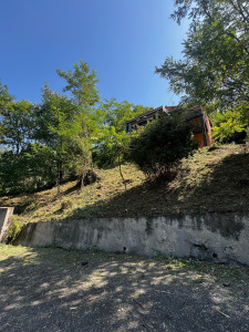 Photo de galerie - Tonte de pelouse - Débroussaillage