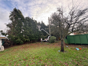 Photo de galerie - Elagage et coupe d'arbres