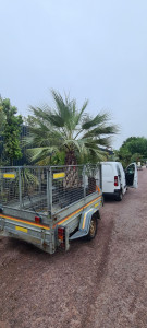 Photo de galerie - Manutention