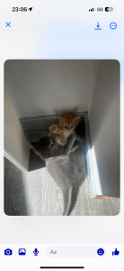 Photo de galerie - Copains 