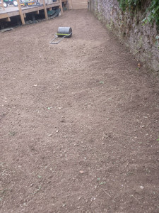 Photo de galerie - Fin de l engazonnement 