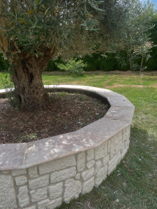 Photo de galerie - Encadrement d’un Olivier avec parement pierre et margelle en travertin