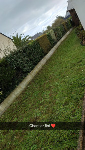 Photo de galerie - Taille de haie quand j'étais salarié 