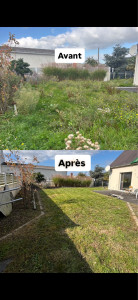 Photo de galerie - Tonte de pelouse - Débroussaillage