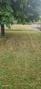 Photo de galerie - Debroussaillage et tonte APRÈS 