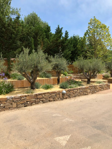 Photo de galerie - Paysagiste - Aménagement du jardin