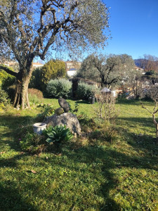 Photo de galerie - Création de massif Avant 