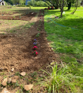 Photo de galerie - Paysagiste - Aménagement du jardin