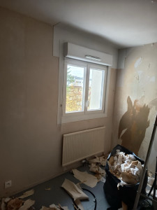 Photo de galerie - Décollage de plusieurs couches de papier 