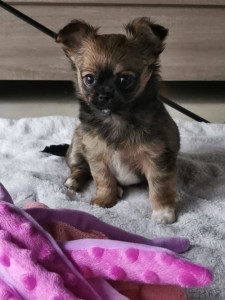 Photo de galerie - Un bébé qui a perdu sa maman 
