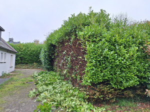 Photo de galerie - Jardinier
