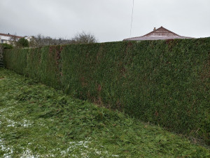 Photo de galerie - Taille dessus 