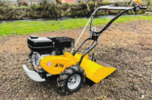 Photo de galerie - Paysagiste - Aménagement du jardin