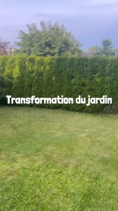 Photo de galerie - Tonte de pelouse et taille de haie réalisées