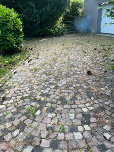 Photo de galerie - Avant débroussaillage de pavés et du reste du terrain