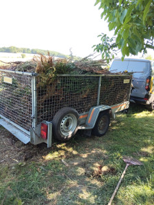 Photo de galerie - évacuation d' une haie taillée par un particulier 