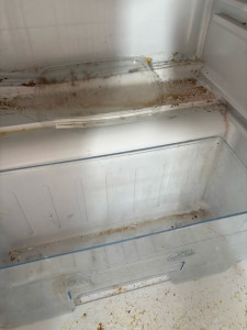 Photo de galerie - Avant