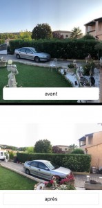 Photo de galerie - Taille de haies et d'arbustes