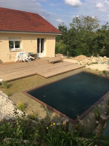 Photo de galerie - Création piscine naturel et terrasse 40m2