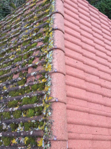 Photo de galerie - Couverture - Toiture