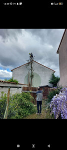 Photo de galerie - Démontage d'arbre dans un lotissement entre cabanon, muret, maison et palissade. 
