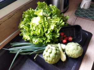 Photo de galerie - Récolte légumes du potager