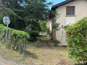 Photo de galerie - Débroussaillage d’un terrain 