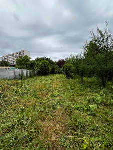 Photo de galerie - Débroussaillage un terrain de 800 m² 