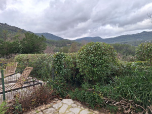 Photo de galerie - Après taille