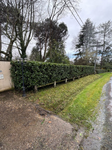 Photo de galerie - Jardinier