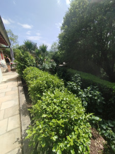 Photo de galerie - Plantation création massif