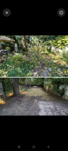 Photo de galerie - Nettoyage de jardin (herbes, déchets, terrain à l’abandon)
✔️ Retourner la terre (bêche ou motoculteur)
✔️ Préparation potager
✔️ Désherbage
✔️ Entretien extérieur