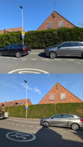 Photo de galerie - Thuyas