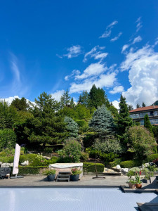 Photo de galerie - Entretien massif