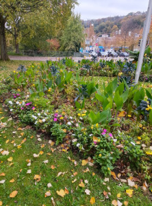 Photo de galerie - Paysagiste - Aménagement du jardin