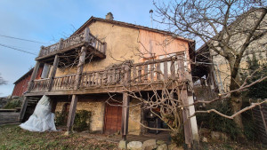 Photo de galerie - Taille d'une wisteria (glycine)