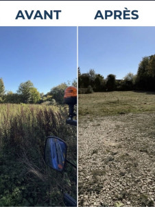 Photo de galerie - Tonte de pelouse - Débroussaillage