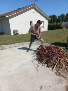 Photo de galerie - Dégagement de déchets vert à Gillonay 