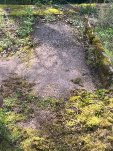 Photo de galerie - On m’a proposé une soirée mousse , j’étais présent. 